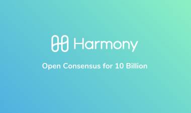 Tertarik Masuk Indonesia, Harmony Fokus Startup 