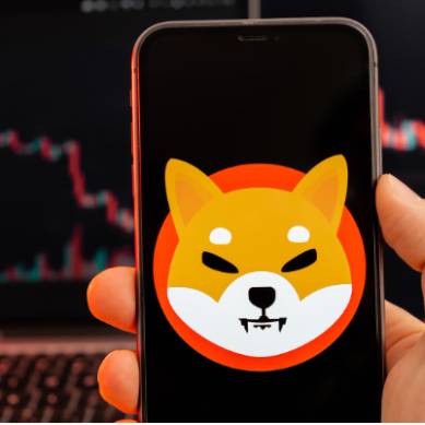 Pullix (PLX) Memimpin Serangan: Uang Berputar ke DeFi dari Memecoin Seperti Shiba Inu (SHIB), Bonk (BONK)