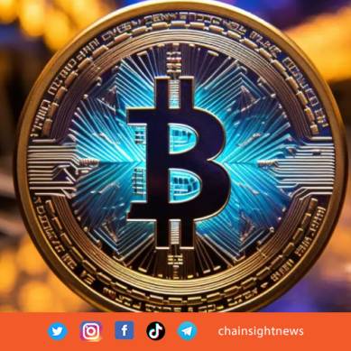Whale Bitcoin Kini Mengontrol Lebih 40% Pasokan BTC