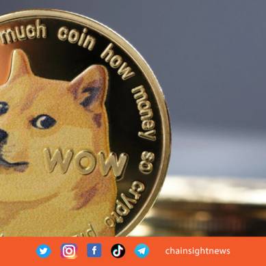 CEO Ripple Sebut Dogecoin Bukan Hal yang Baik untuk Industri Kripto
