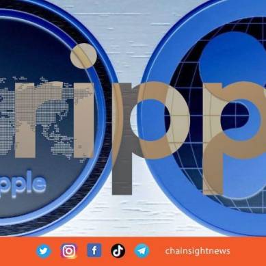 Eksekutif Ripple Lawan Penolakan SEC untuk Menunda Pengajuan Banding
